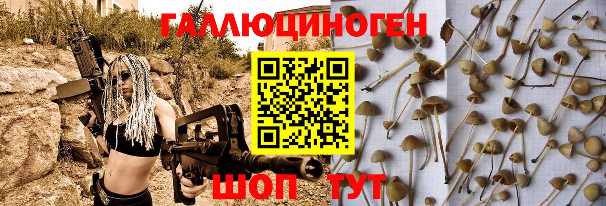 Коммунар  Галлюциногенные грибы MAGIC MUSHROOMS  Вход с VPN 